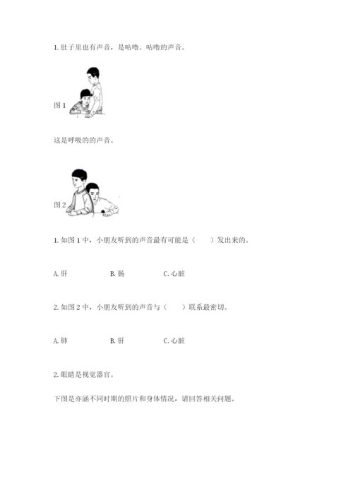 教科版二年级下册科学期末测试卷精品（名师系列）.docx