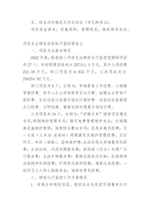 项目支出绩效目标执行监控报告.docx