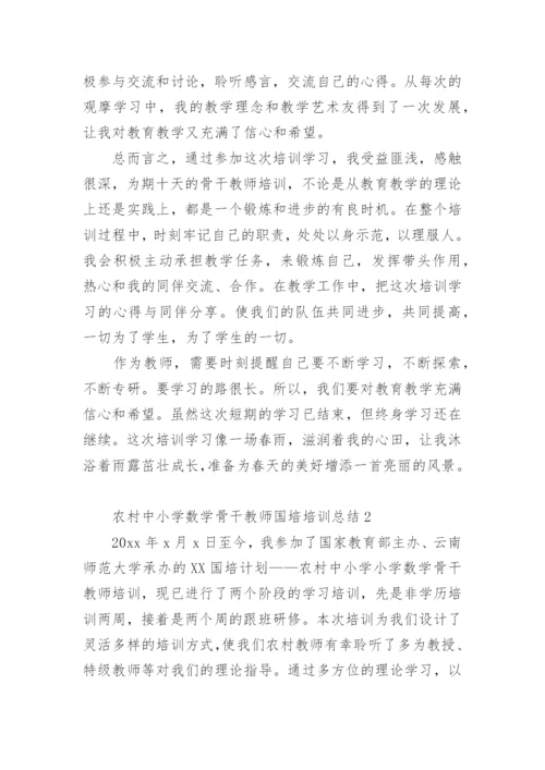 农村中小学数学骨干教师国培培训总结.docx