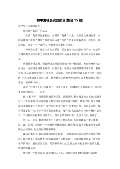 初中生社会实践报告(集合15篇).docx