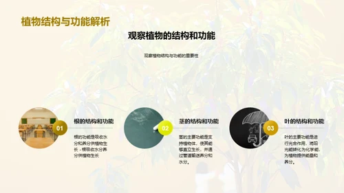 商务风教育培训教学课件PPT模板