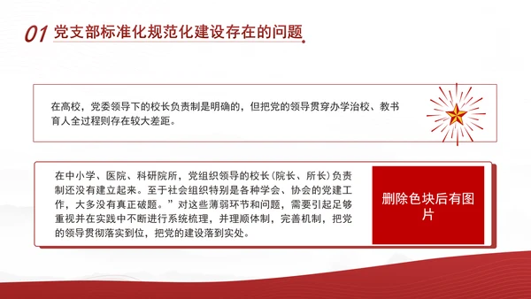 2024党支部标准化规范化建设面临的问题和对策ppt课件
