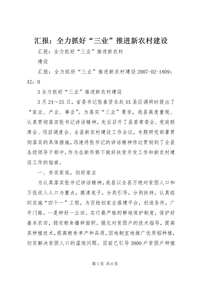 汇报：全力抓好“三业”推进新农村建设.docx