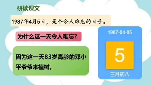 第4课 《邓小平爷爷植树》（教学课件）