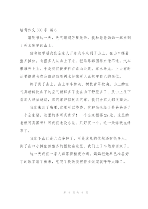 踏青作文300字6篇.docx