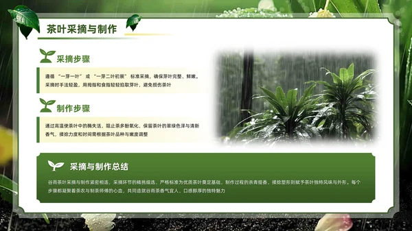 绿色系传统文化二十四节气谷雨主题PPT模板