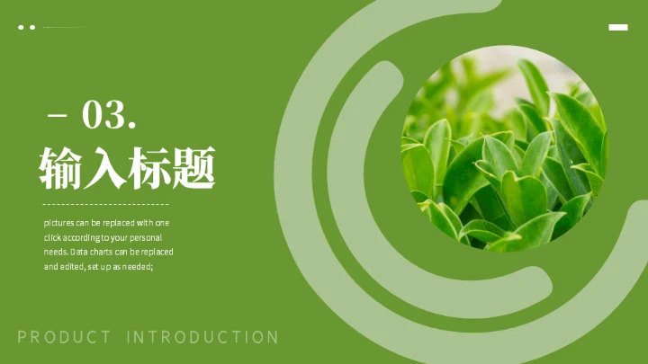 春茶产品介绍茶叶宣传手册通用PPT模板