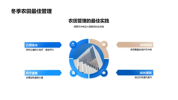 大雪对农业的影响与应对