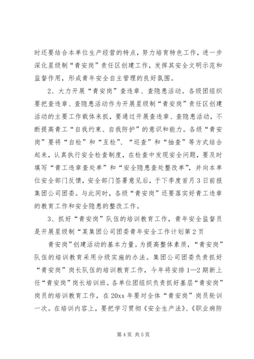 某集团公司团委青年安全工作计划.docx