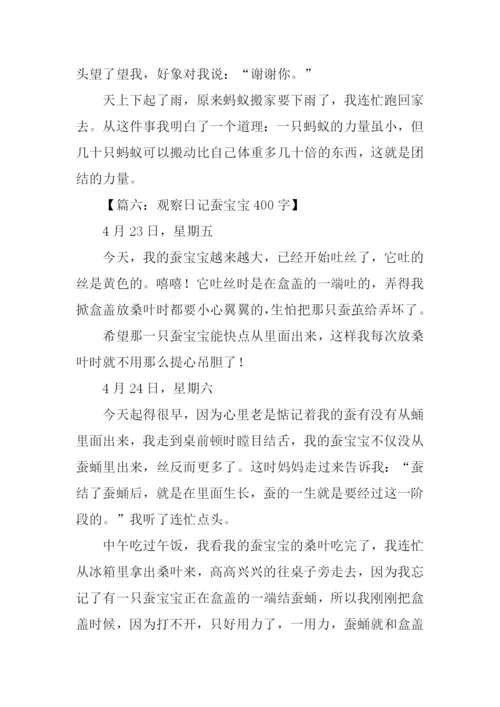 四年级观察动物作文.docx