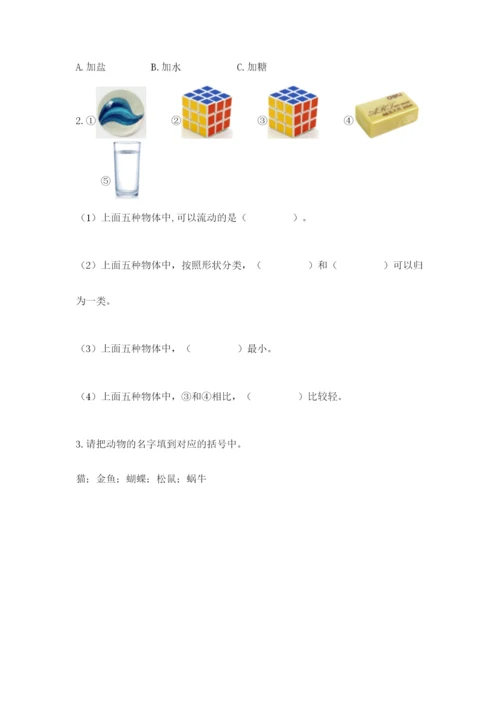 教科版一年级下册科学期末测试卷（全优）.docx