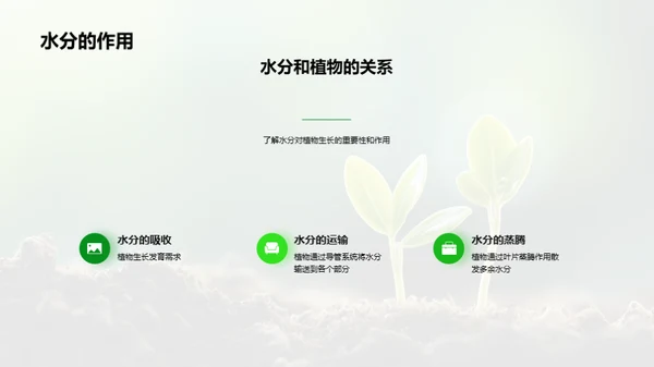 揭秘植物生长