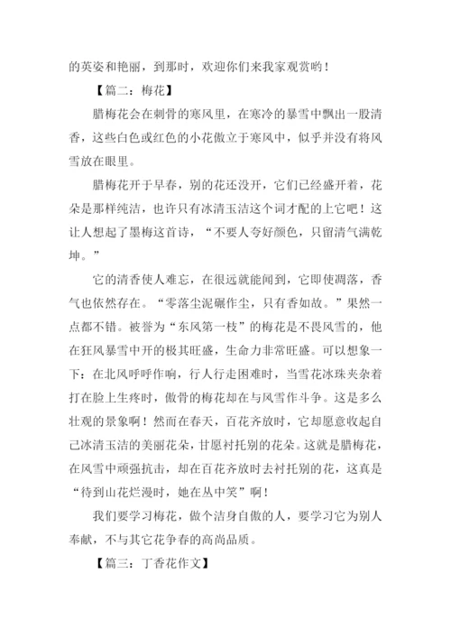 花的作文400字四年级.docx