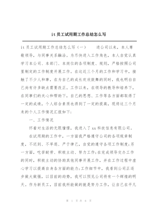 it员工试用期工作总结怎么写.docx