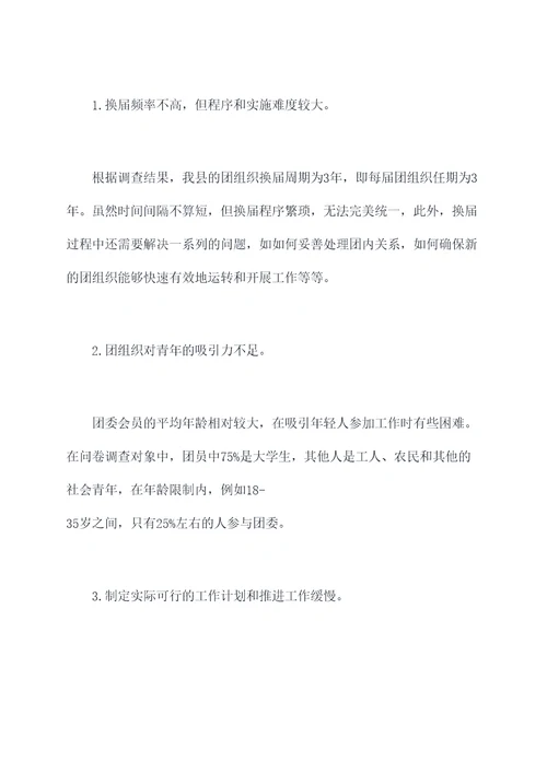 县团组织换届调研报告