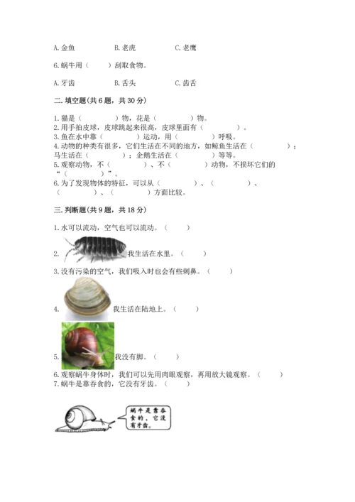 教科版一年级下册科学期末测试卷附参考答案【培优a卷】.docx
