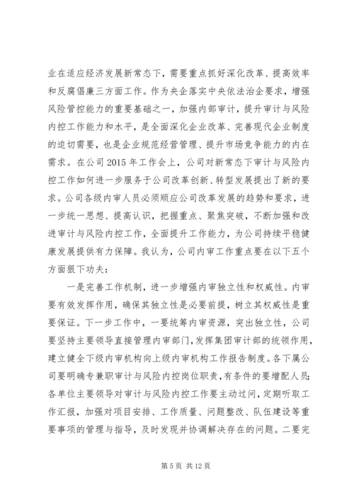 内审分管领导讲话(精).docx