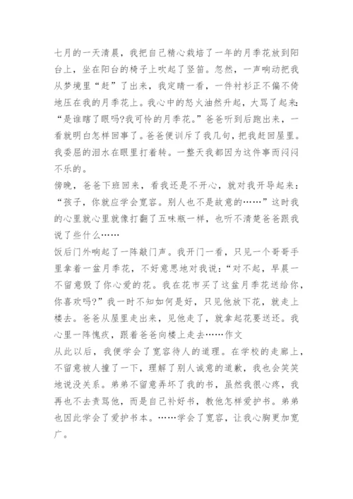 宽容宽容的议论文.docx