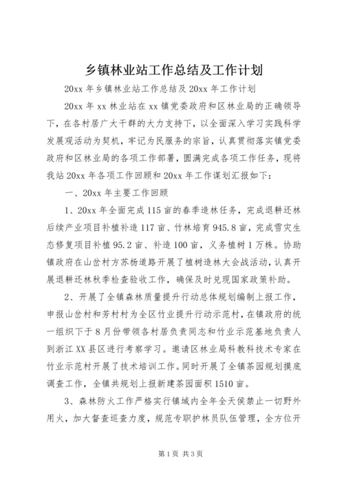 乡镇林业站工作总结及工作计划.docx