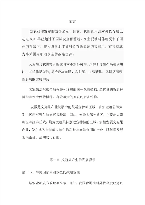 文冠果油项目可行性实施方案