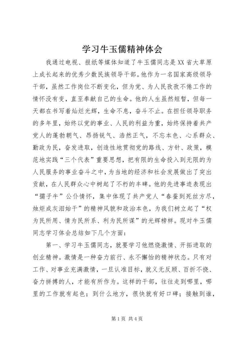 学习牛玉儒精神体会.docx