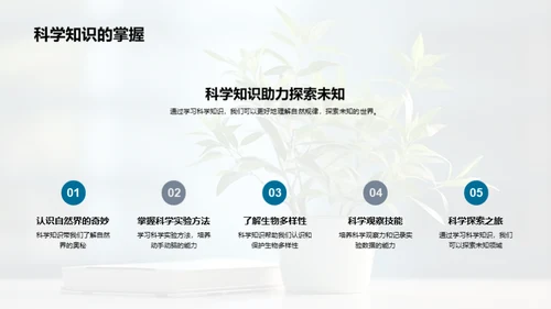 四年级的挑战与成长