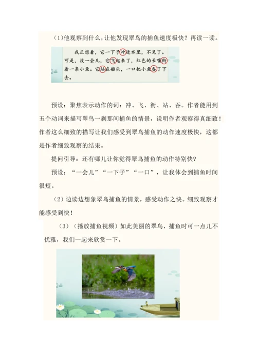 留心观察抓特点--三年级语文上册第五单元《搭船的鸟》教学设计.docx