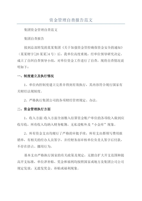 资金管理自查报告范文.docx