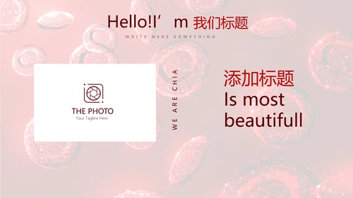 红细胞血小板动态PPT