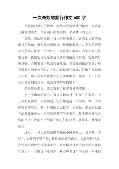 一次奇妙的旅行作文600字.docx