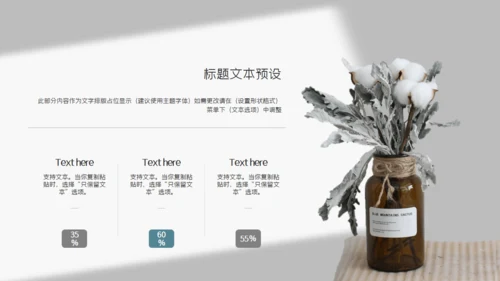 素雅文艺风摄影作品集通用PPT相册模板