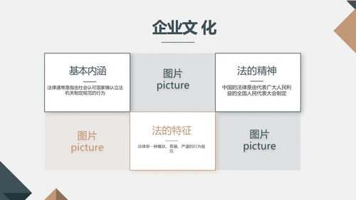 严谨大气法律法学律师工作汇报动态PPT模板