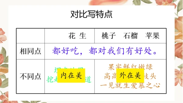 2 落花生 课件