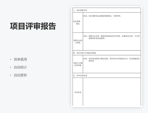 项目评审报告
