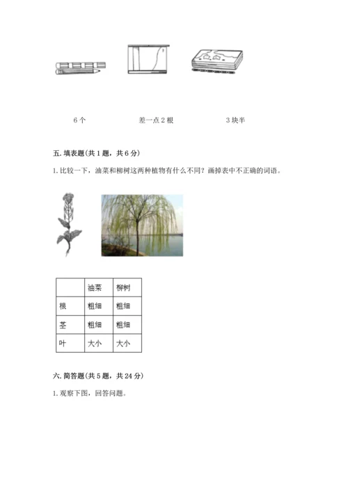 教科版一年级上册科学期末测试卷参考答案.docx