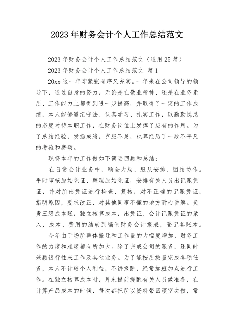 2023年财务会计个人工作总结范文_1.docx
