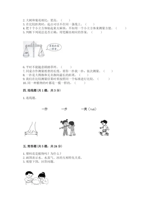 教科版一年级上册科学期末测试卷【b卷】.docx