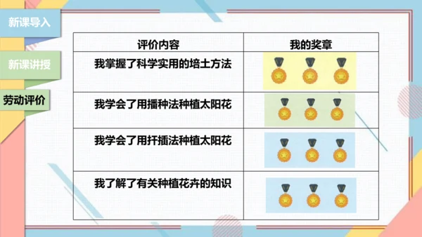 【北师大版】二年级《劳动实践指导手册》第11课《一起来种太阳花》课件
