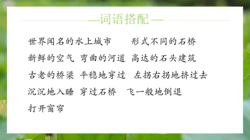 统编版语文五年级下册第七单元（课件）