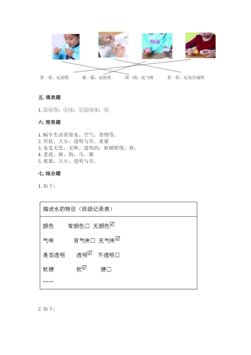 教科版小学科学一年级下册期末测试卷及参考答案（轻巧夺冠）.docx