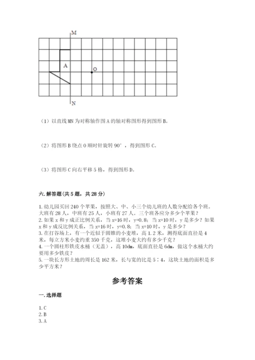 北师大版六年级下册数学期末测试卷带答案（精练）.docx