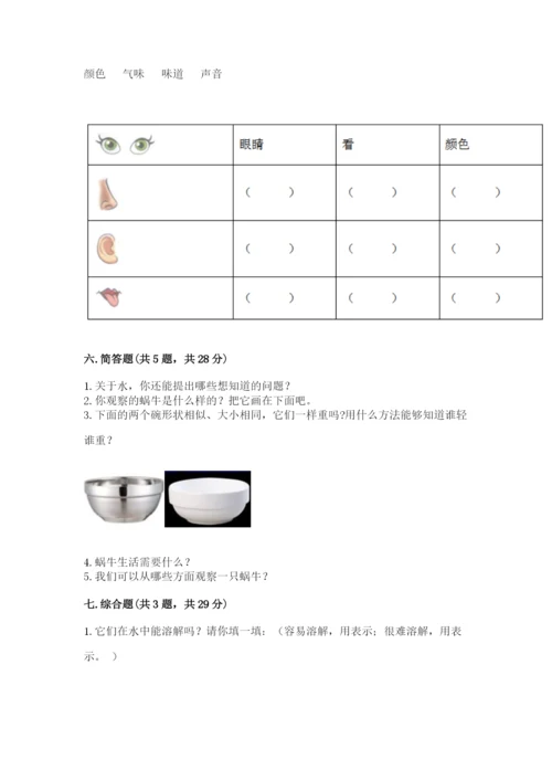 教科版一年级下册科学期末测试卷【网校专用】.docx