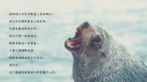 敬畏自然尊重生命保护动物大象通用PPT模板