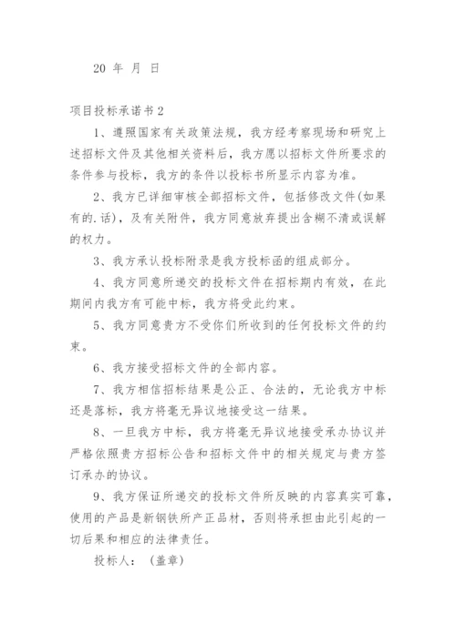 项目投标承诺书.docx