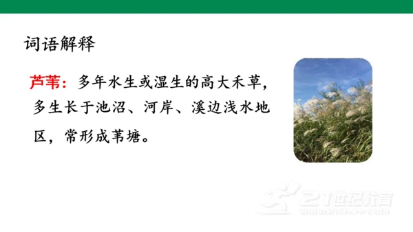 3《现代诗二首》课件