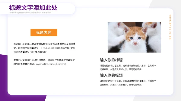 宠物小狗狗泰迪犬通用PPT模板