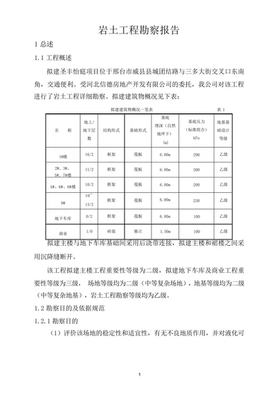 勘察报告旅游购物生活休闲勘察报告