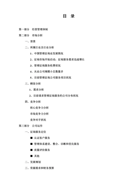 咨询公司创业综合计划书.docx