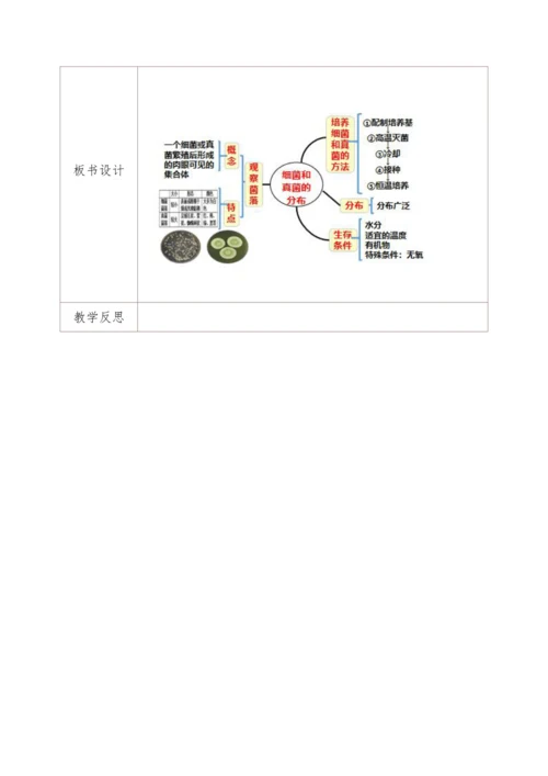 5.4.1细菌和真菌的分布