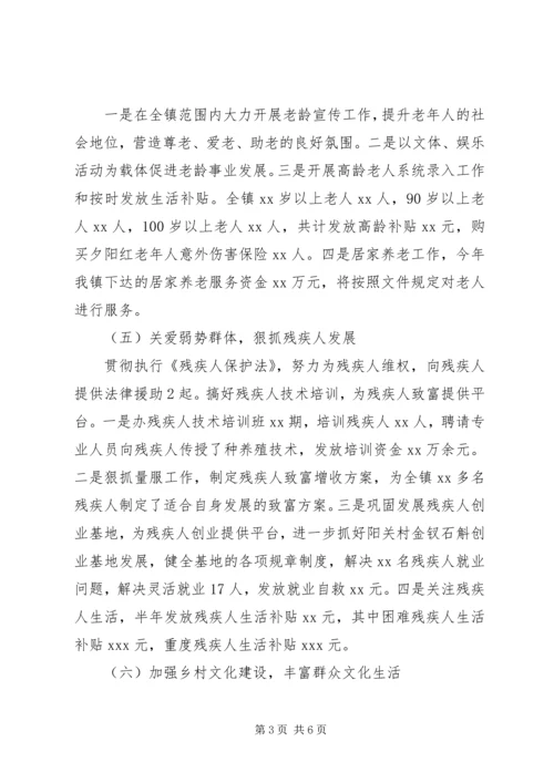 乡镇社事办某年半年工作总结.docx